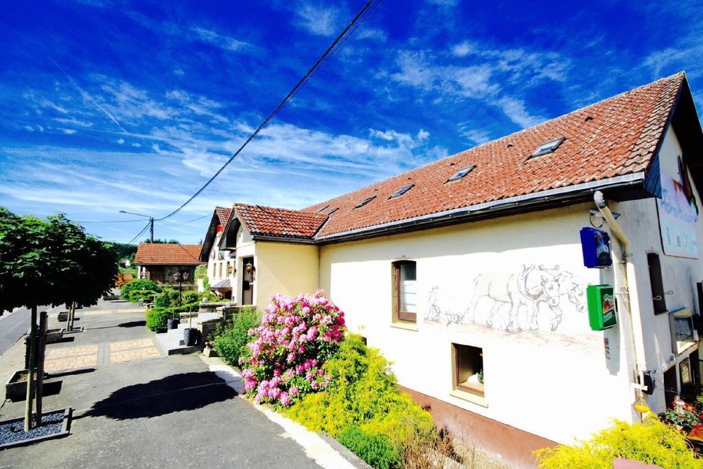 Appartement Am Hohenbusch Burg Reuland Extérieur photo